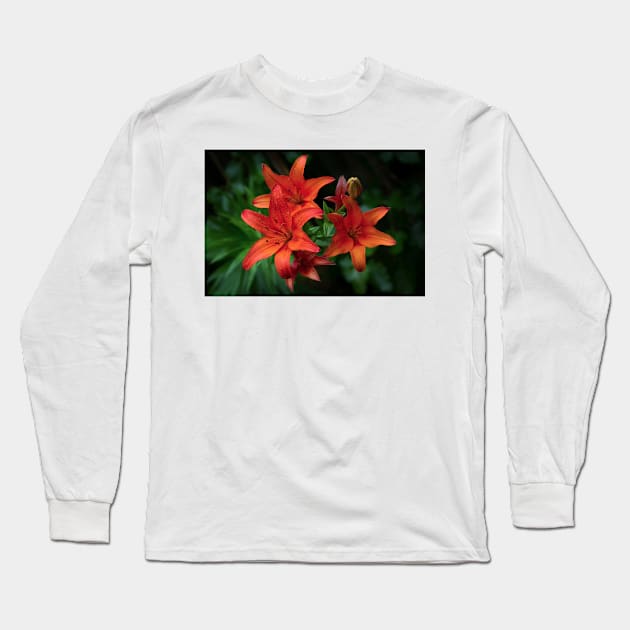 Lily Long Sleeve T-Shirt by Jim Cumming